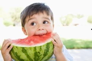 吃瓜小熊测试朋友苹果